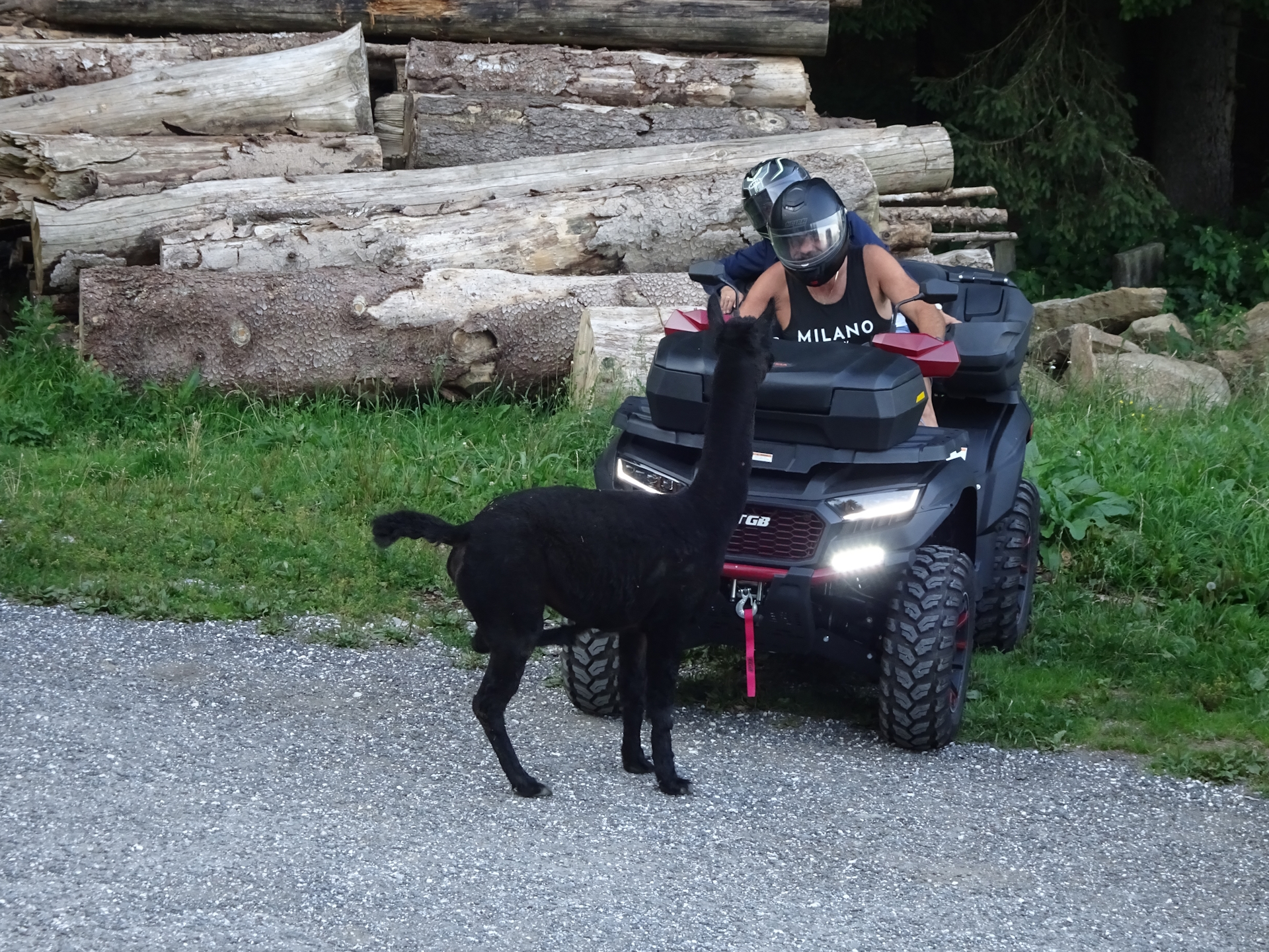 You first need the permission of <i>Baron</i> before you are allowed to leave!