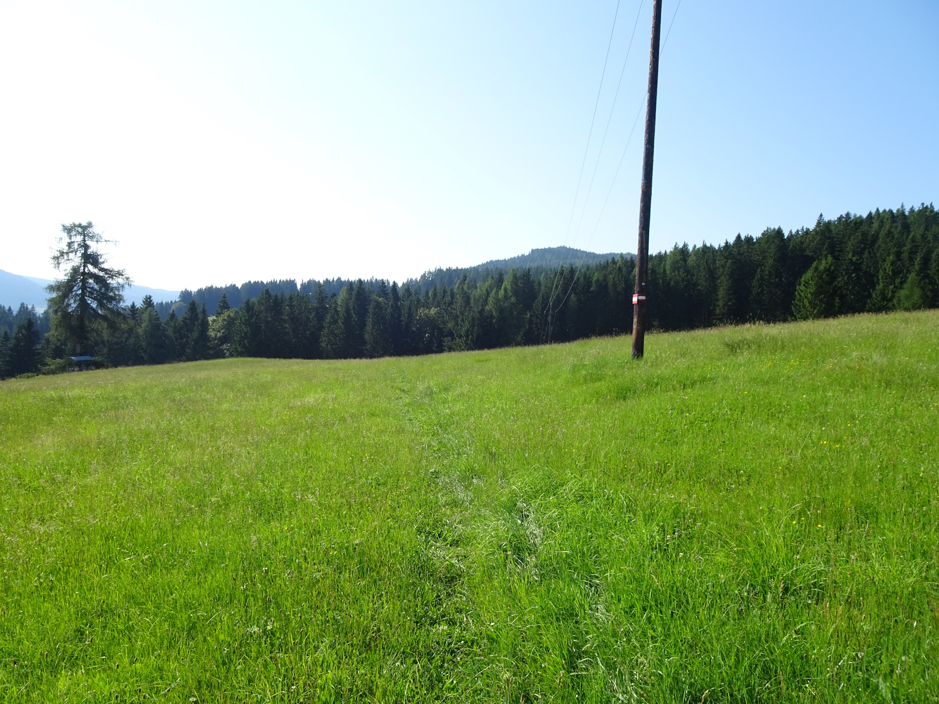 Follow the trail and find the markings!