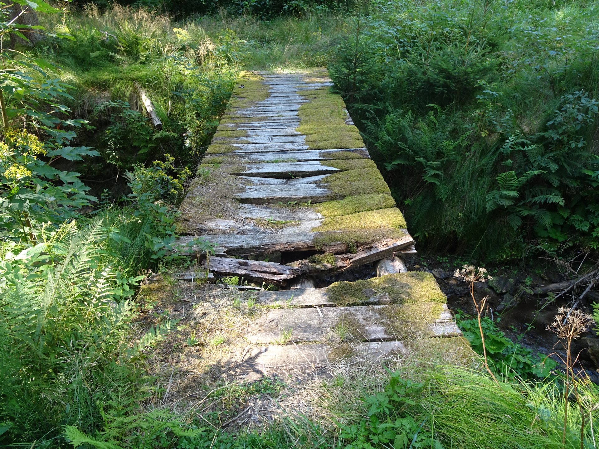 The dangerous bridge!