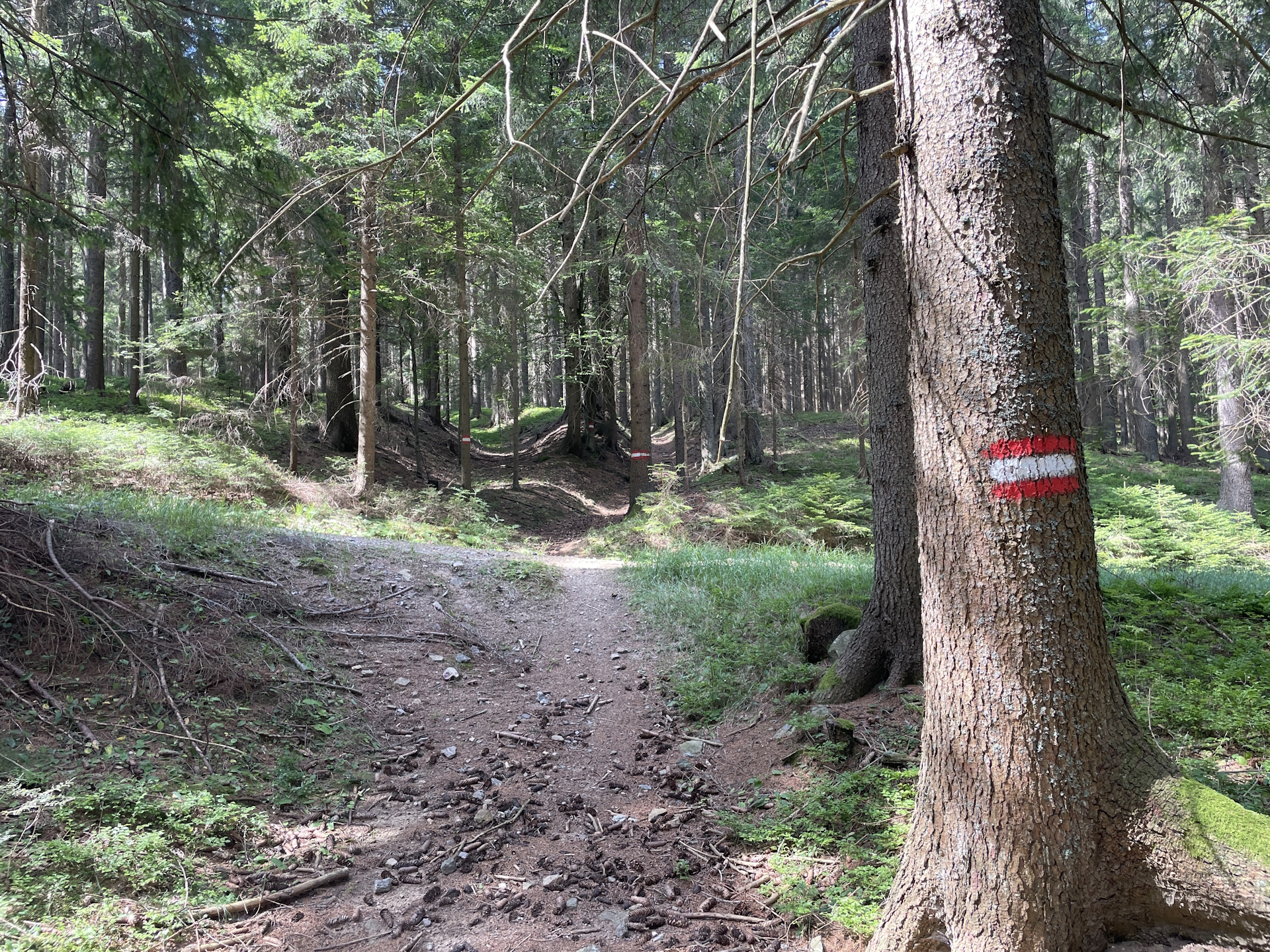 On the trail towards <i>Hebalm</i>