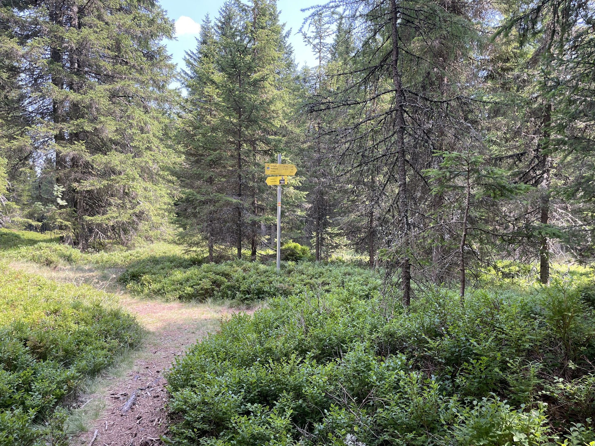 Crossing before <i>See Eben</i> (turn right here towards <i>Weinebene</i>)