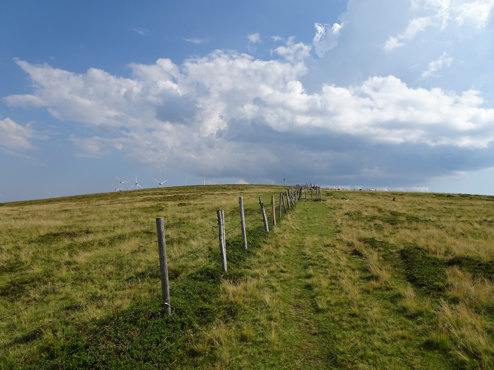 Approaching the top of <i>Weberkogel</i>