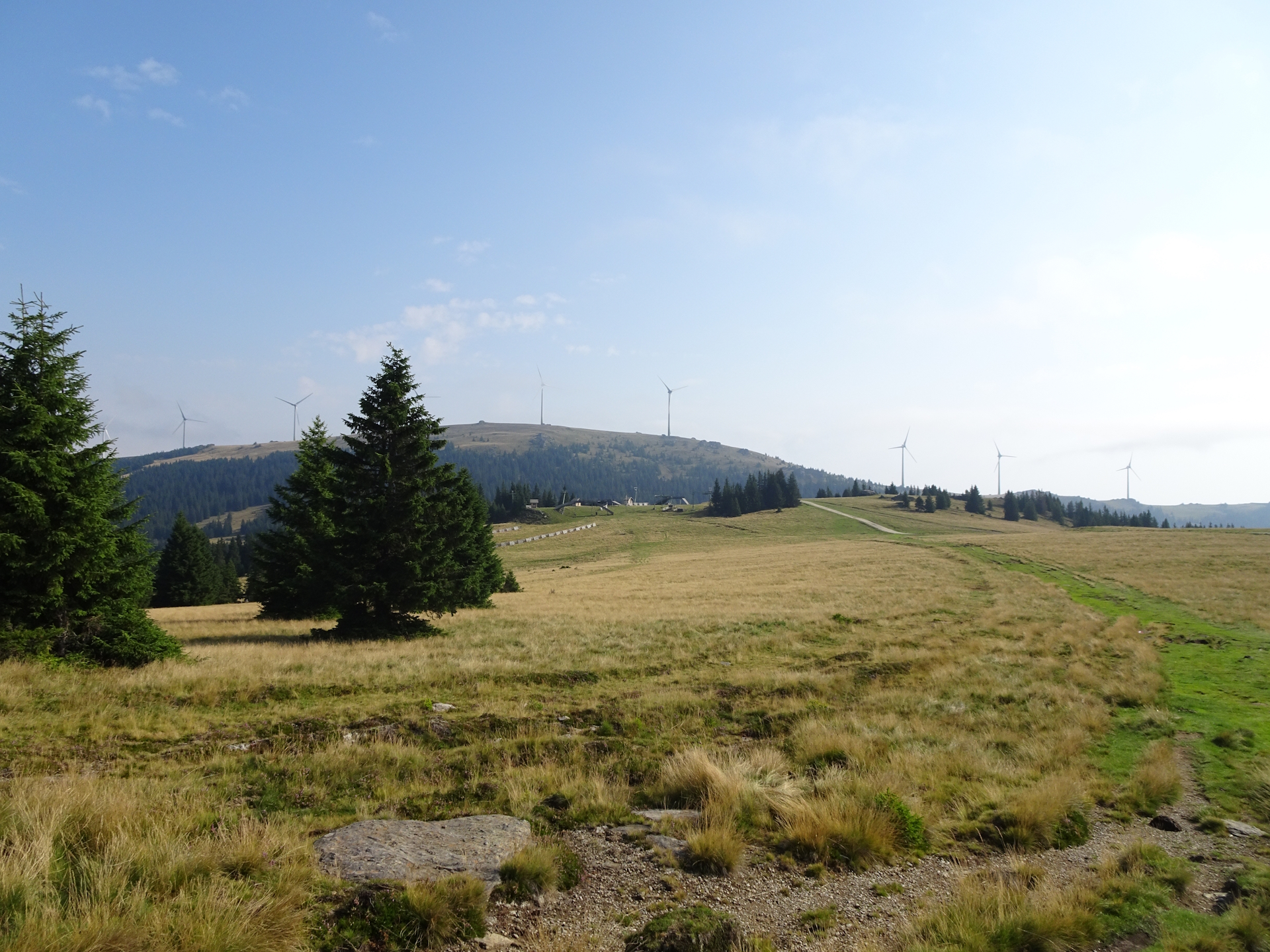 Look back to <i>Weinofen</i> from the trail