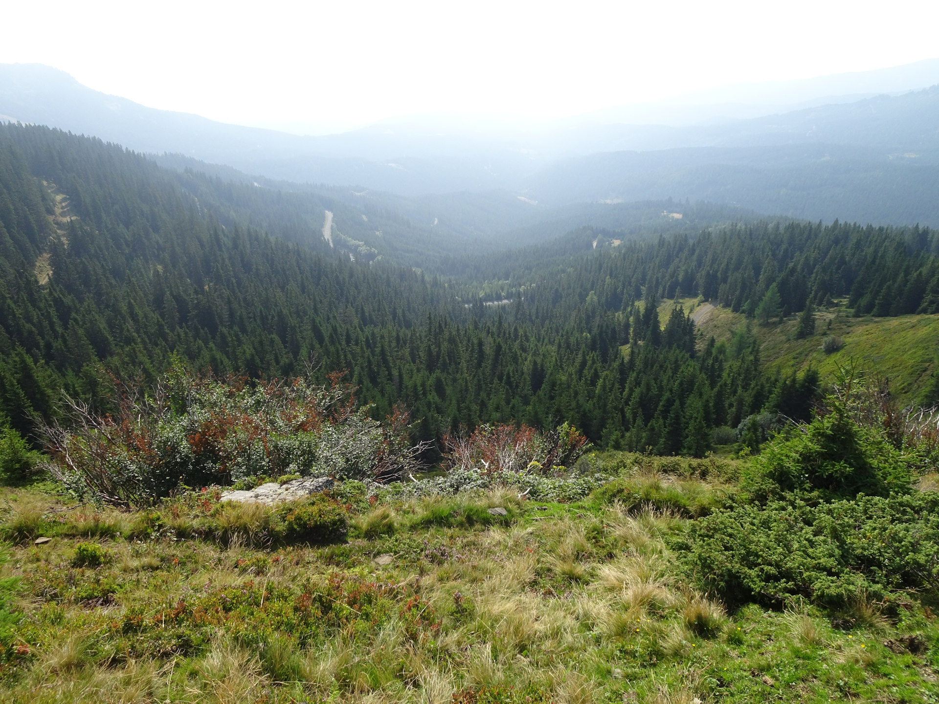 On the trail towards the saddle on the border between <i>Styria</i> and <i>Carinthia</i>