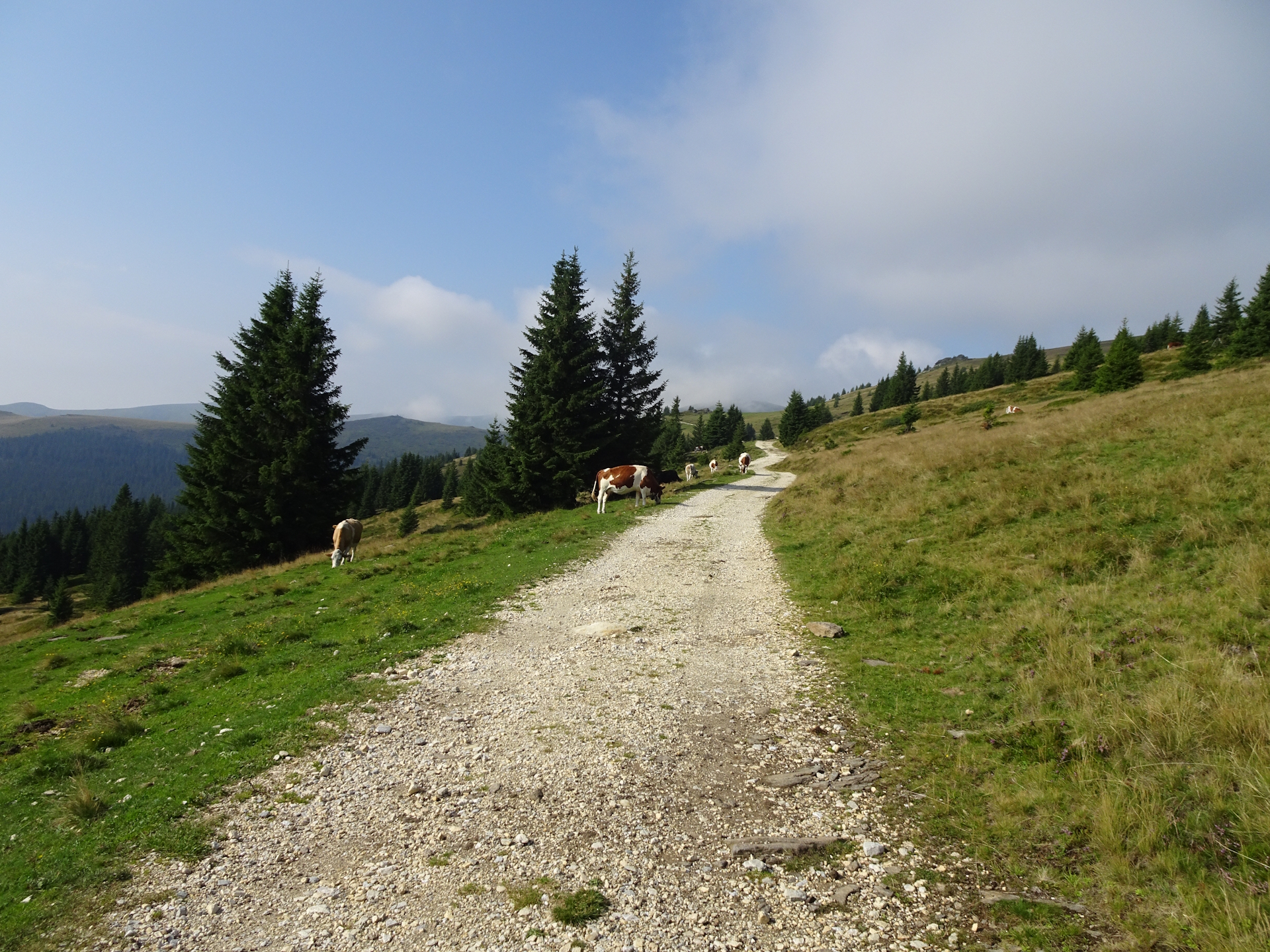 On the trail towards the border between <i>Styria</i> and <i>Carinthia</i>