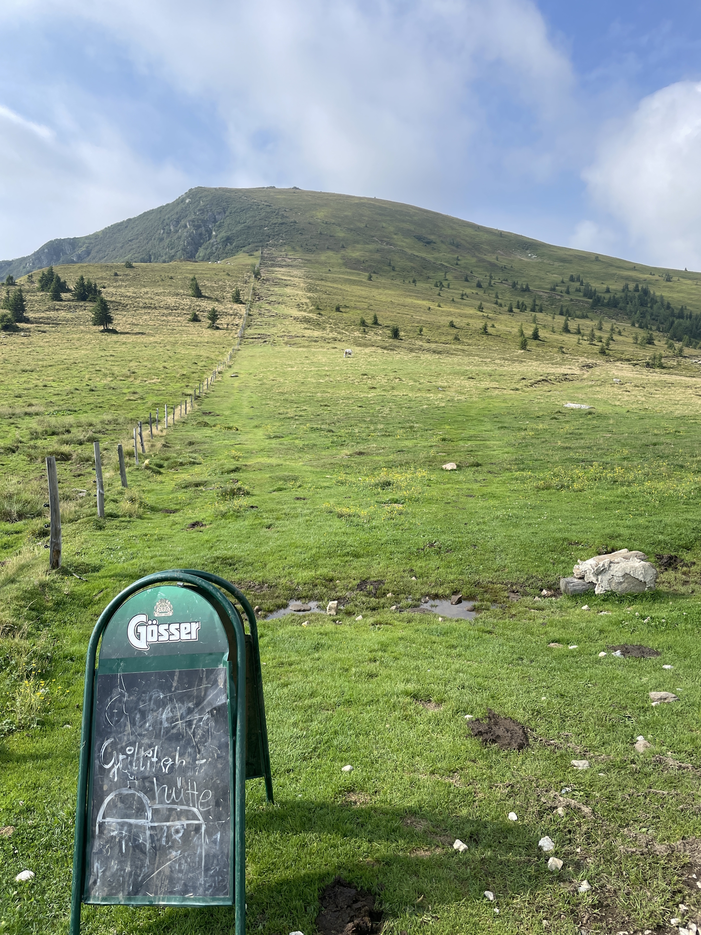 The (steep) trail up to <i>Hühnerstütze</i>