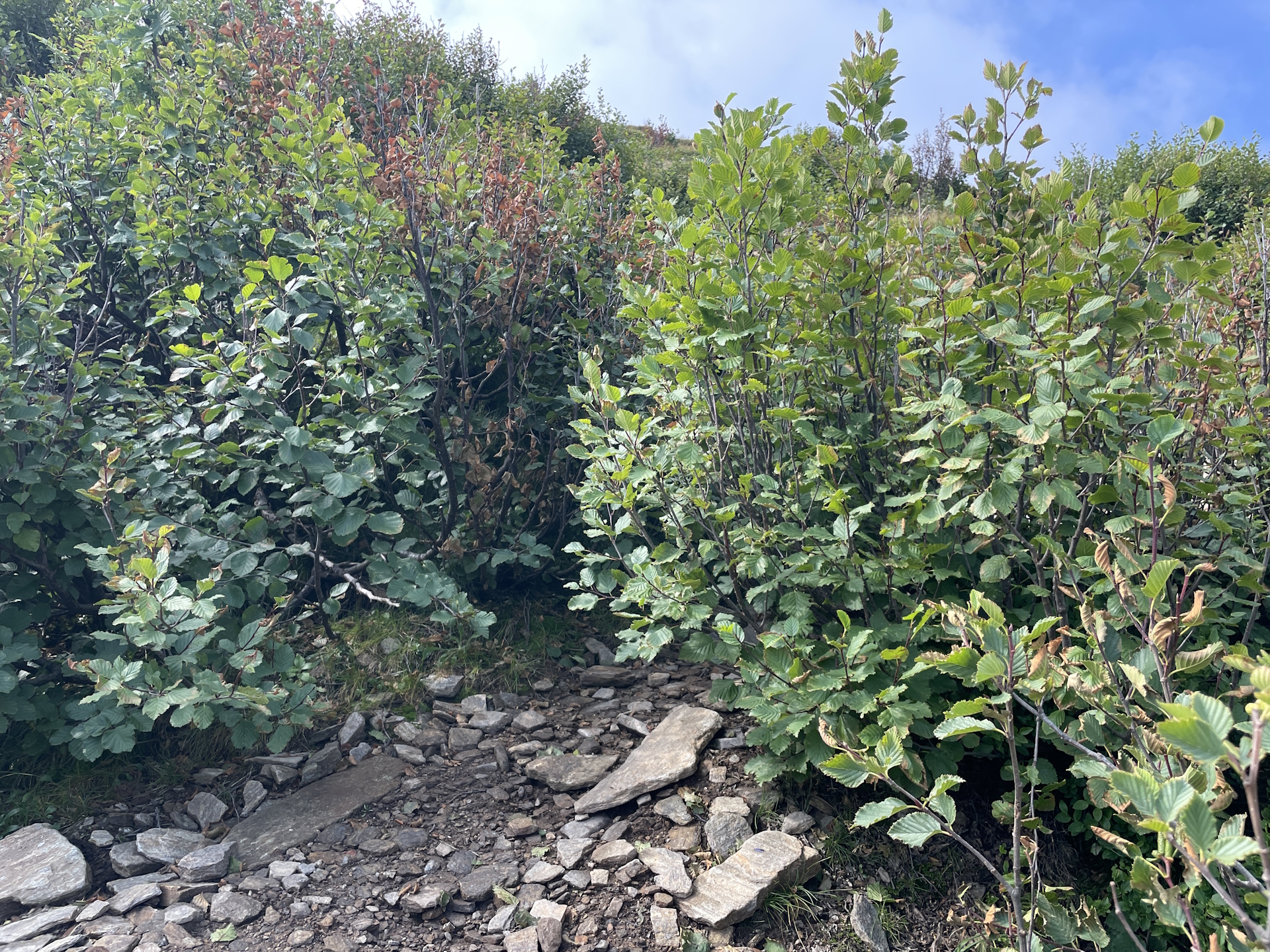 Finding the way up to <i>Hühnerstütze</i>