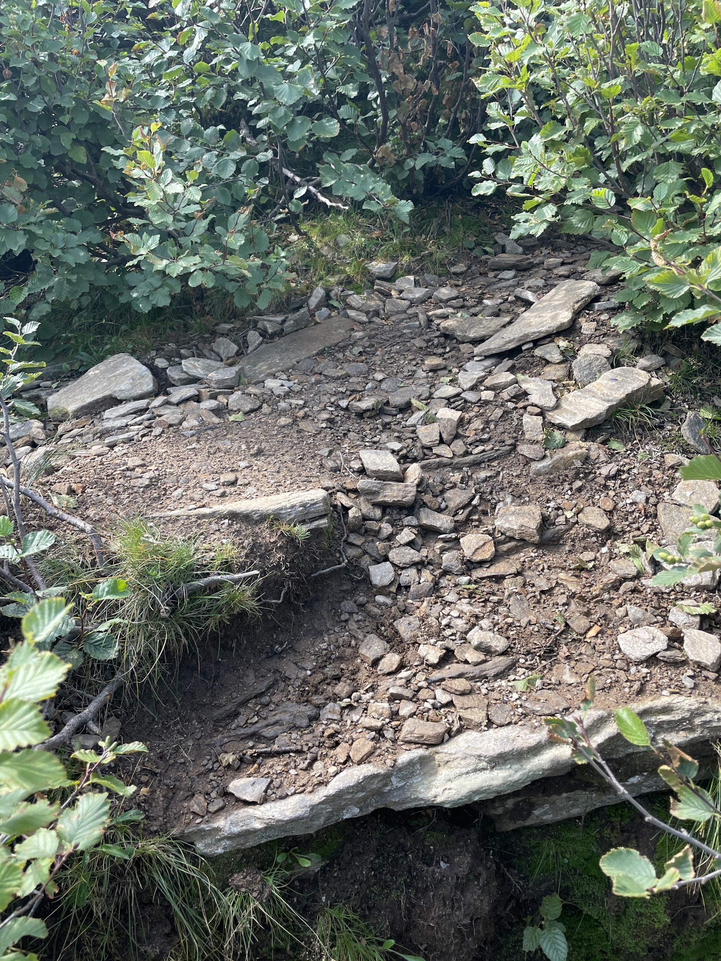 Finding the way up to <i>Hühnerstütze</i>