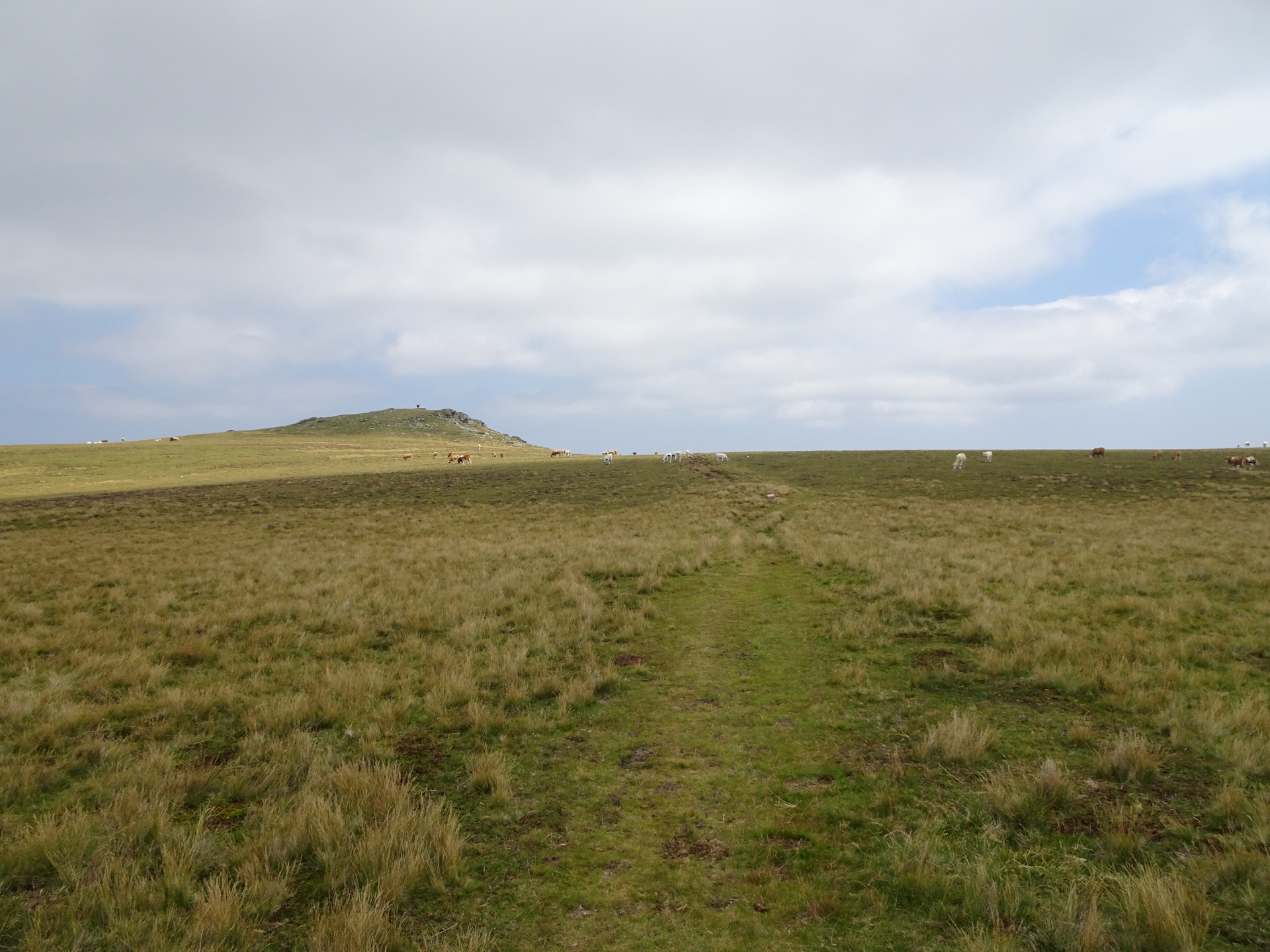 The <i>Großer Frauenkogel</i>