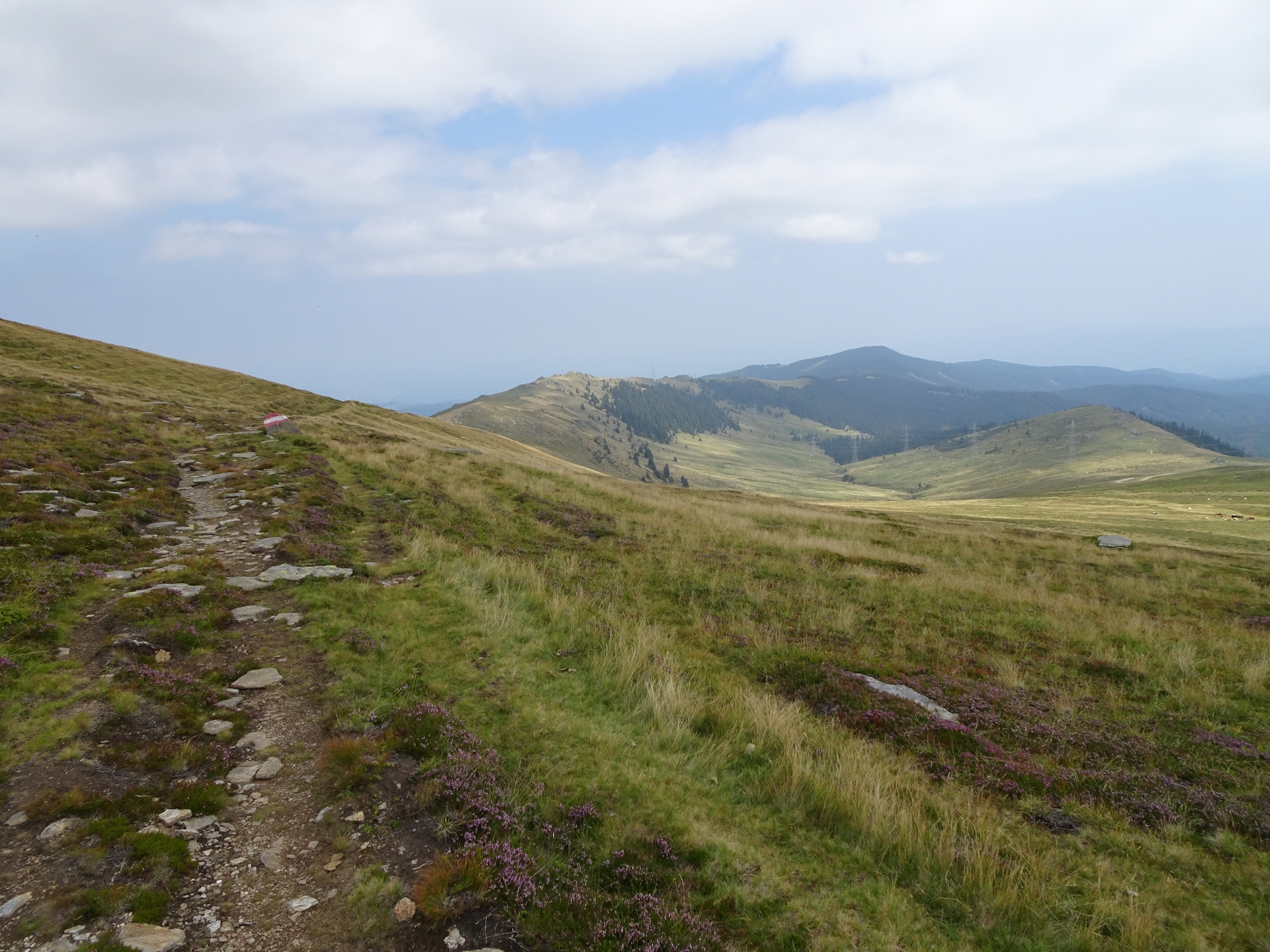 On the trail towards <i>Brendlhütte</i>
