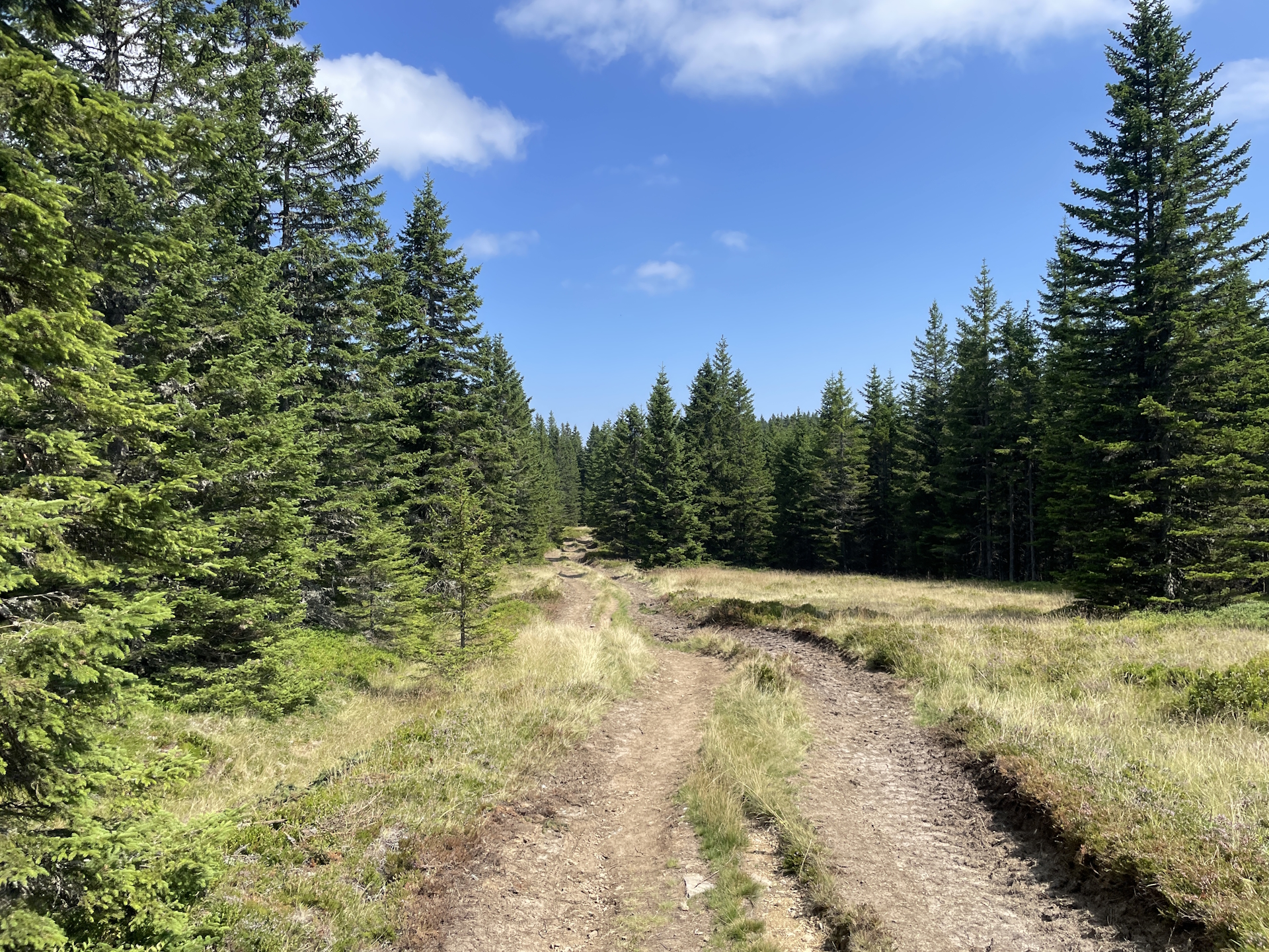 Towards <i>Die Kramerin</i>