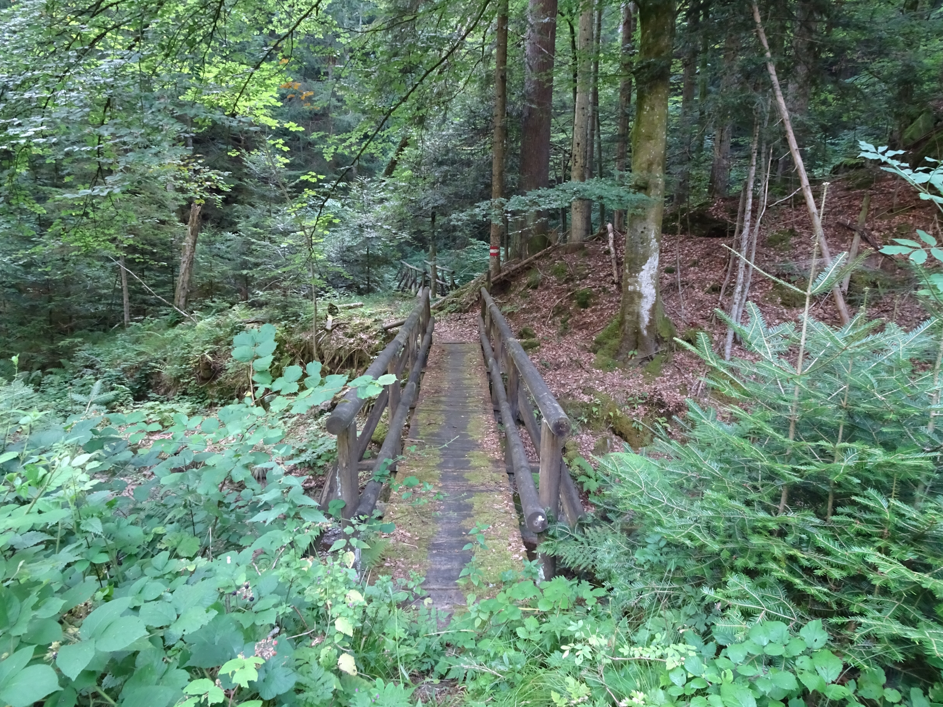 The bridge at the overgrown trail towards <i>St. Oswald</i>
