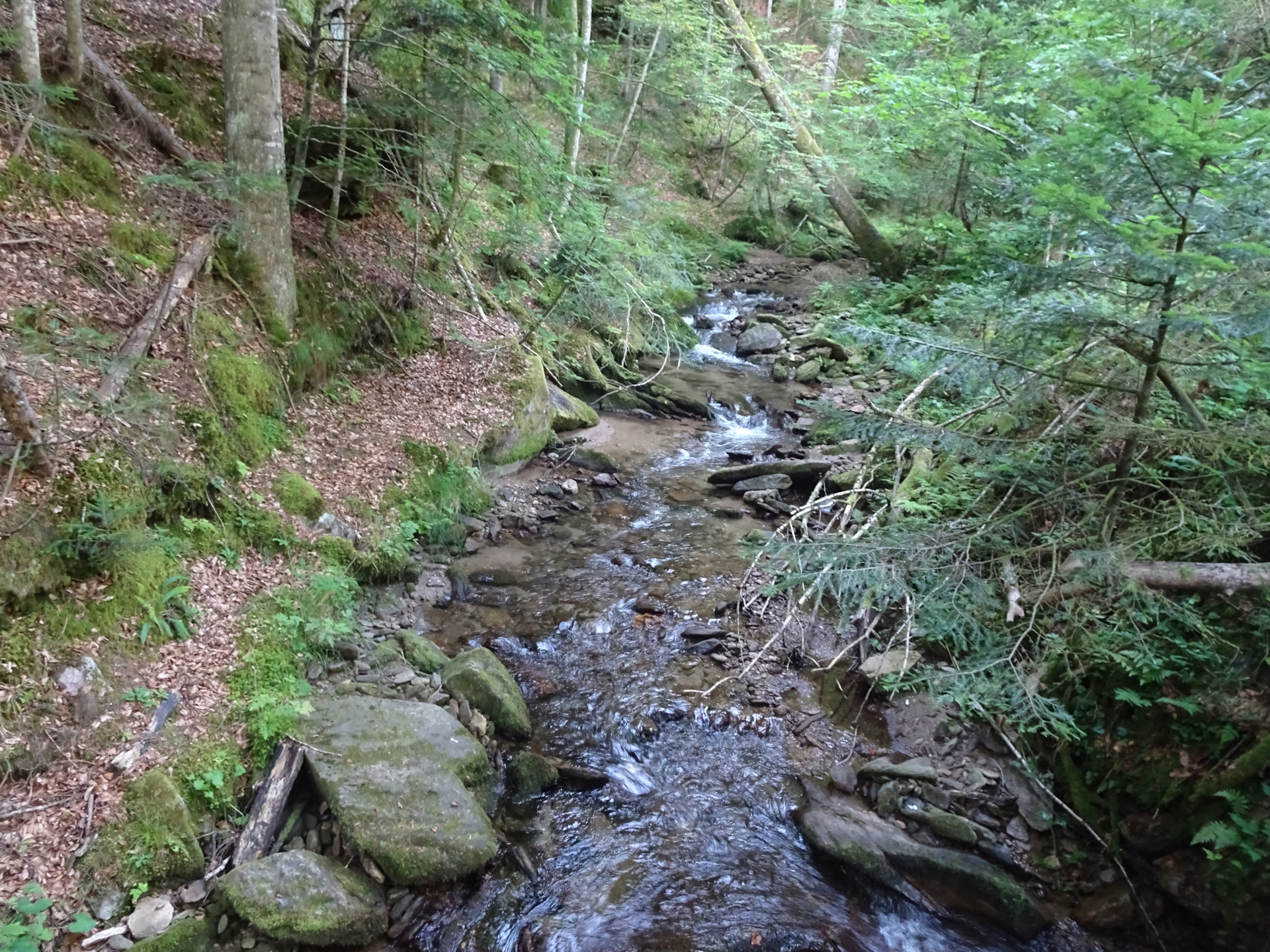 Crossing the river on the trail to <i>St. Oswald</i>