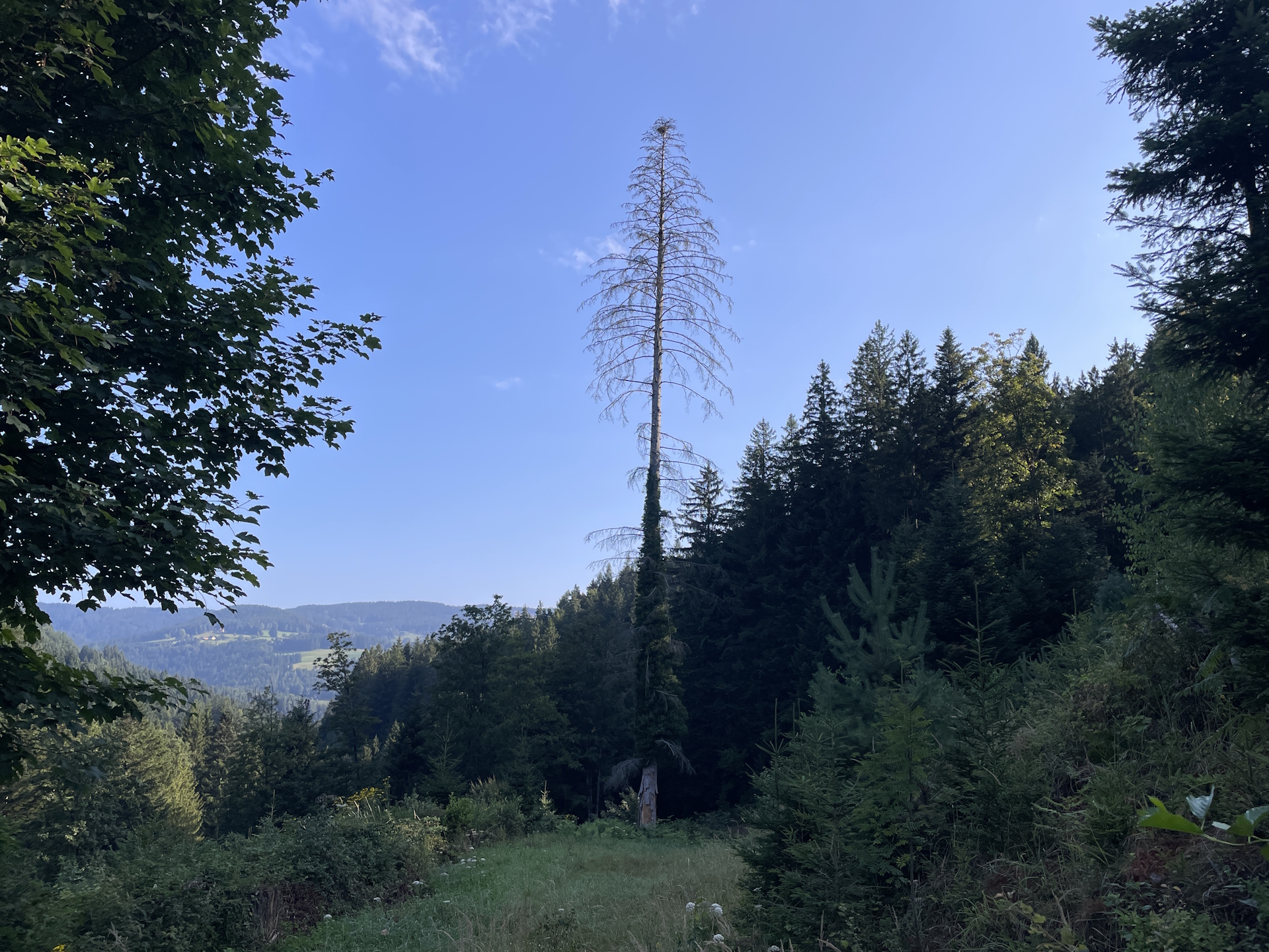 On the trail towards <i>St. Oswald</i>