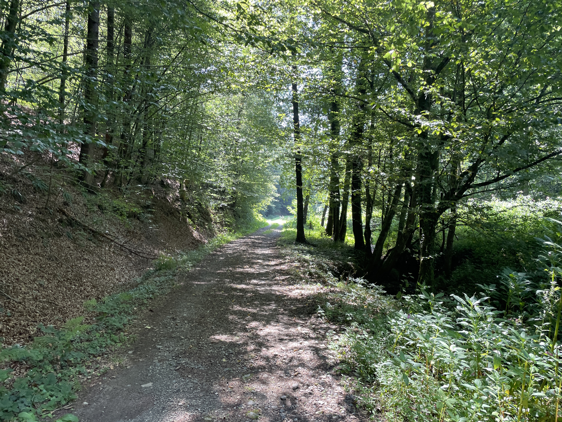 On the trail towards <i>Eibiswald</i>